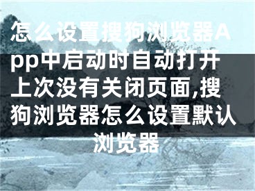 怎么設(shè)置搜狗瀏覽器App中啟動時自動打開上次沒有關(guān)閉頁面,搜狗瀏覽器怎么設(shè)置默認(rèn)瀏覽器