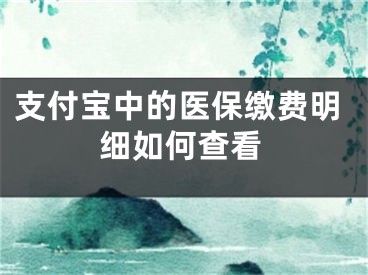 支付寶中的醫(yī)保繳費(fèi)明細(xì)如何查看