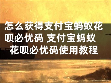 怎么獲得支付寶螞蟻花唄必優(yōu)碼 支付寶螞蟻花唄必優(yōu)碼使用教程