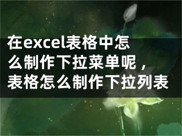 在excel表格中怎么制作下拉菜單呢 ,表格怎么制作下拉列表