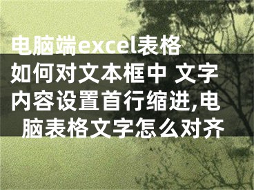 電腦端excel表格如何對文本框中 文字內(nèi)容設(shè)置首行縮進,電腦表格文字怎么對齊