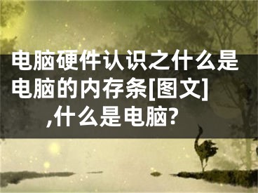 電腦硬件認(rèn)識之什么是電腦的內(nèi)存條[圖文],什么是電腦?