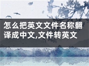 怎么把英文文件名稱翻譯成中文,文件轉(zhuǎn)英文