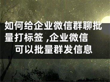 如何給企業(yè)微信群聊批量打標(biāo)簽 ,企業(yè)微信可以批量群發(fā)信息