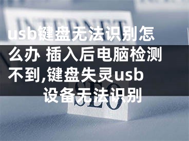 usb鍵盤無法識別怎么辦 插入后電腦檢測不到,鍵盤失靈usb設(shè)備無法識別