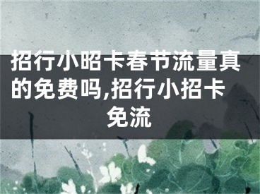 招行小昭卡春節(jié)流量真的免費嗎,招行小招卡免流