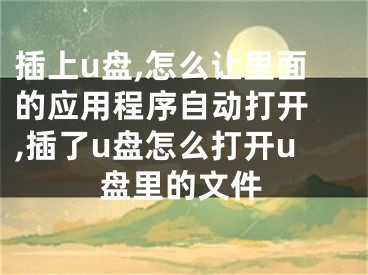 插上u盤,怎么讓里面的應(yīng)用程序自動打開 ,插了u盤怎么打開u盤里的文件