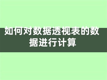 如何對數(shù)據(jù)透視表的數(shù)據(jù)進行計算