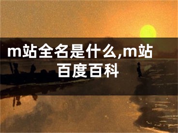 m站全名是什么,m站百度百科