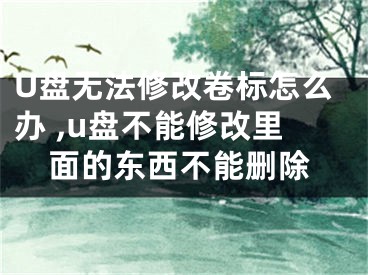 U盤無(wú)法修改卷標(biāo)怎么辦 ,u盤不能修改里面的東西不能刪除