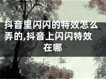 抖音里閃閃的特效怎么弄的,抖音上閃閃特效在哪