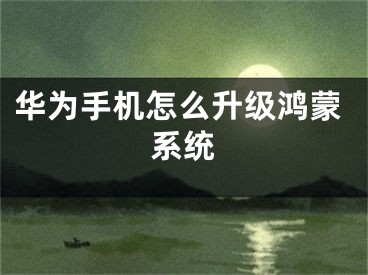 華為手機(jī)怎么升級鴻蒙系統(tǒng)