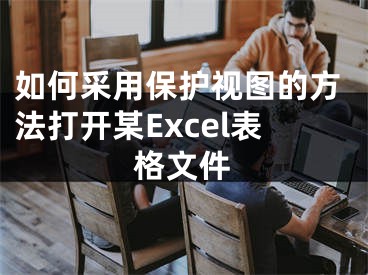 如何采用保護視圖的方法打開某Excel表格文件