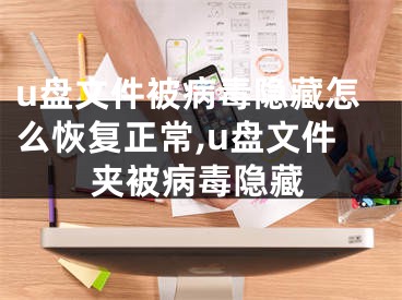 u盤文件被病毒隱藏怎么恢復(fù)正常,u盤文件夾被病毒隱藏