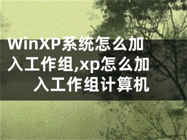 WinXP系統(tǒng)怎么加入工作組,xp怎么加入工作組計(jì)算機(jī)