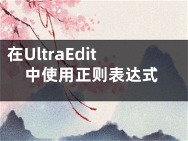 在UltraEdit中使用正則表達(dá)式