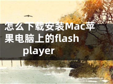 怎么下載安裝Mac蘋果電腦上的flash player