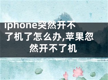 iphone突然開不了機了怎么辦,蘋果忽然開不了機