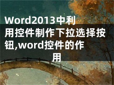 Word2013中利用控件制作下拉選擇按鈕,word控件的作用