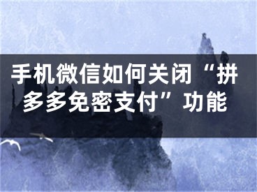 手機(jī)微信如何關(guān)閉“拼多多免密支付”功能