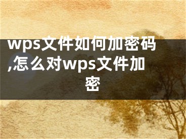 wps文件如何加密碼,怎么對wps文件加密