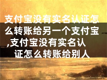 支付寶沒(méi)有實(shí)名認(rèn)證怎么轉(zhuǎn)賬給另一個(gè)支付寶 ,支付寶沒(méi)有實(shí)名認(rèn)證怎么轉(zhuǎn)賬給別人