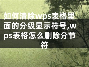 如何清除wps表格里面的分級顯示符號,wps表格怎么刪除分節(jié)符