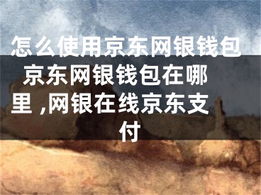 怎么使用京東網(wǎng)銀錢包  京東網(wǎng)銀錢包在哪里 ,網(wǎng)銀在線京東支付