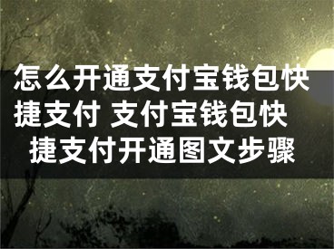 怎么開通支付寶錢包快捷支付 支付寶錢包快捷支付開通圖文步驟