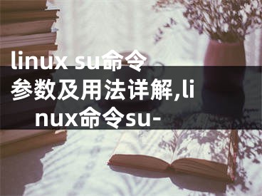 linux su命令參數(shù)及用法詳解,linux命令su-