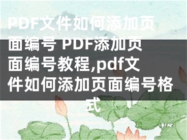 PDF文件如何添加頁面編號 PDF添加頁面編號教程,pdf文件如何添加頁面編號格式