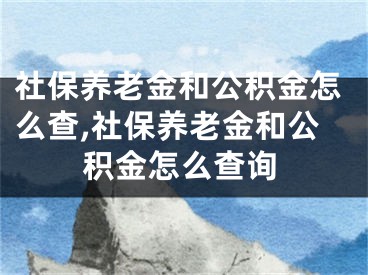 社保養(yǎng)老金和公積金怎么查,社保養(yǎng)老金和公積金怎么查詢