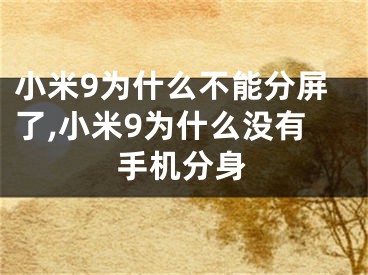 小米9為什么不能分屏了,小米9為什么沒(méi)有手機(jī)分身