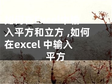 如何在Excel中輸入平方和立方 ,如何在excel 中輸入平方