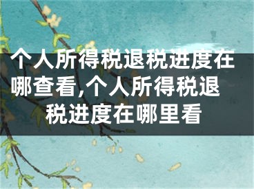 個人所得稅退稅進(jìn)度在哪查看,個人所得稅退稅進(jìn)度在哪里看