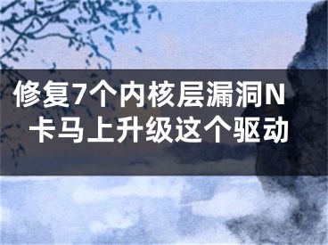 修復(fù)7個(gè)內(nèi)核層漏洞N卡馬上升級(jí)這個(gè)驅(qū)動(dòng)