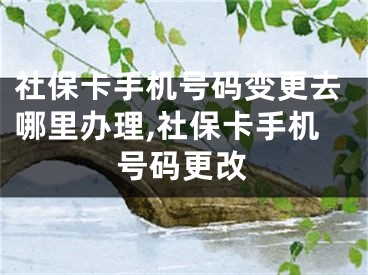 社?？ㄊ謾C號碼變更去哪里辦理,社保卡手機號碼更改