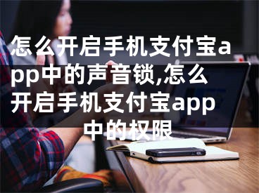 怎么開啟手機支付寶app中的聲音鎖,怎么開啟手機支付寶app中的權(quán)限