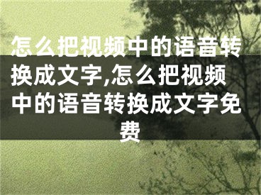 怎么把視頻中的語(yǔ)音轉(zhuǎn)換成文字,怎么把視頻中的語(yǔ)音轉(zhuǎn)換成文字免費(fèi)