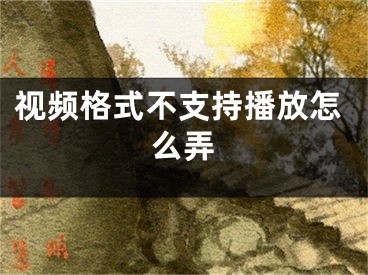 視頻格式不支持播放怎么弄