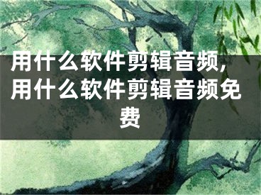 用什么軟件剪輯音頻,用什么軟件剪輯音頻免費(fèi)