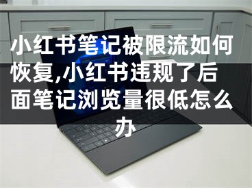 小紅書筆記被限流如何恢復(fù),小紅書違規(guī)了后面筆記瀏覽量很低怎么辦