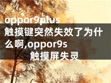 oppor9plus觸摸鍵突然失效了為什么啊,oppor9s觸摸屏失靈