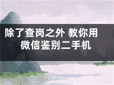 除了查崗之外 教你用微信鑒別二手機(jī)