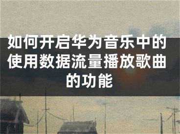 如何開啟華為音樂中的使用數(shù)據(jù)流量播放歌曲的功能