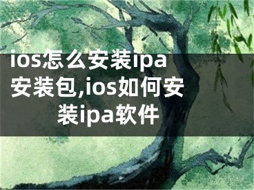 ios怎么安裝ipa安裝包,ios如何安裝ipa軟件