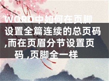 WORD中如何在頁(yè)腳設(shè)置全篇連續(xù)的總頁(yè)碼,而在頁(yè)眉分節(jié)設(shè)置頁(yè)碼 ,頁(yè)腳全一樣