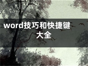 word技巧和快捷鍵大全