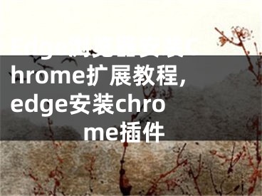 Edge瀏覽器安裝Chrome擴(kuò)展教程,edge安裝chrome插件