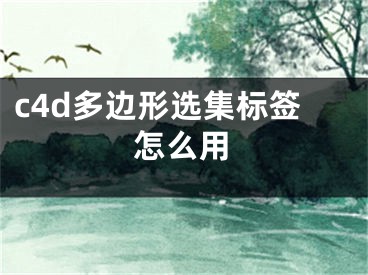 c4d多邊形選集標(biāo)簽怎么用